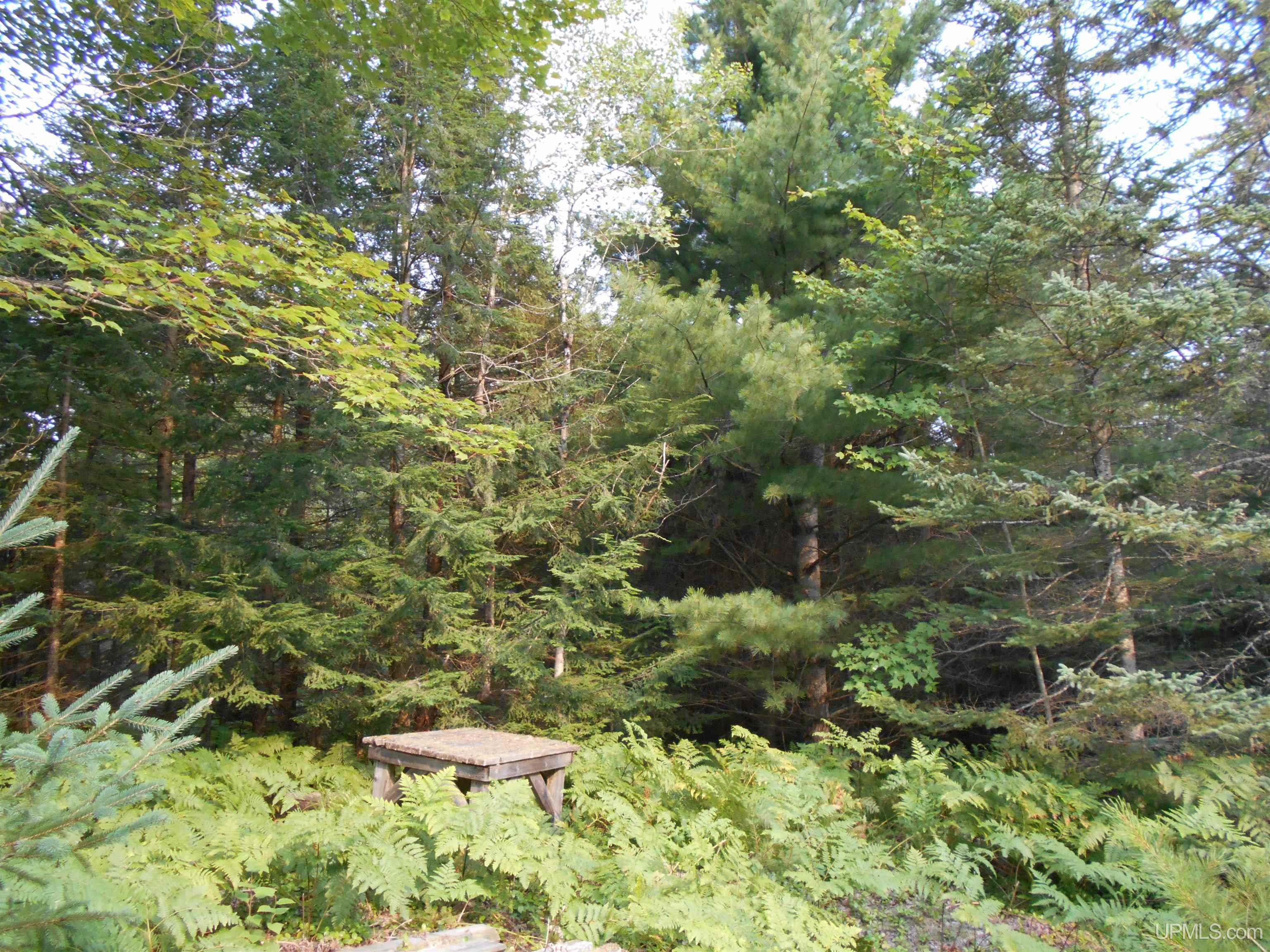 40-acres Garden Grade Road Garden, MI 49817 - Photo 14 of 51