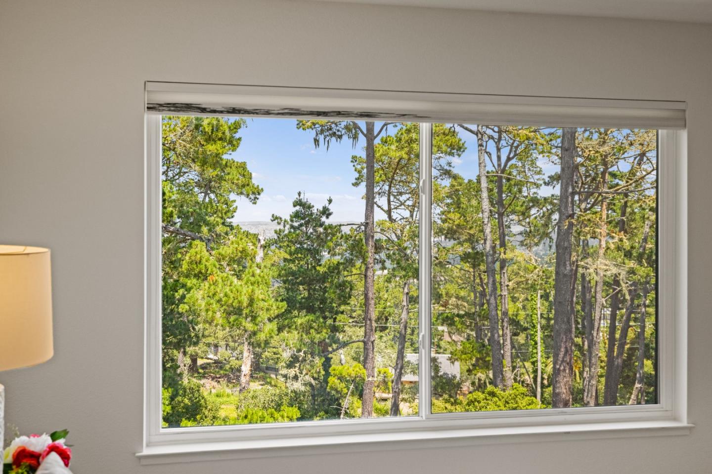 43 Shepherd's Knoll Pebble Beach, CA 93953 - Photo 19 of 34 a view of a garden from a window