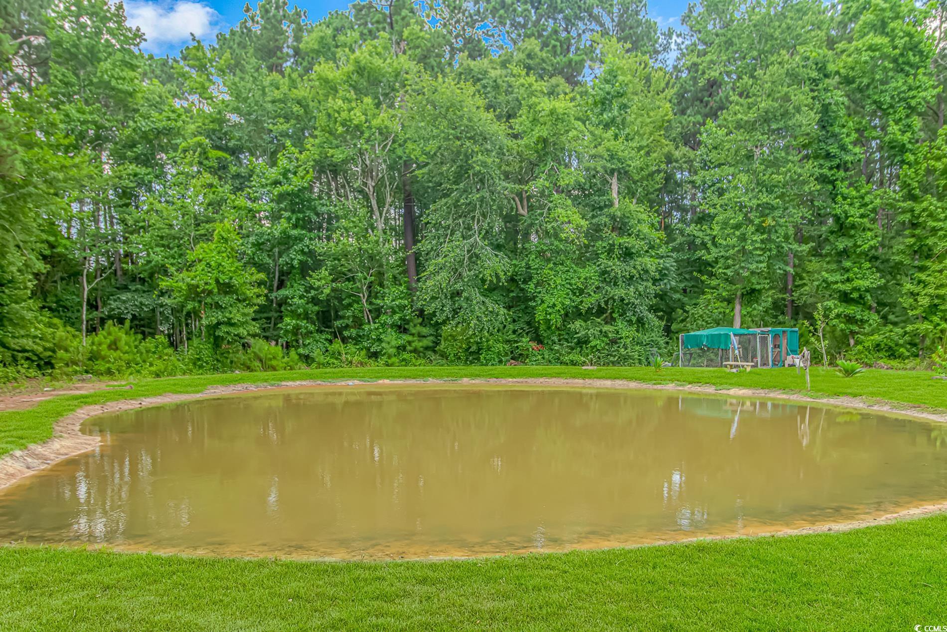 413 Four Mile Road Conway, SC 29526 - Photo 34 of 39 Gallery Image 34