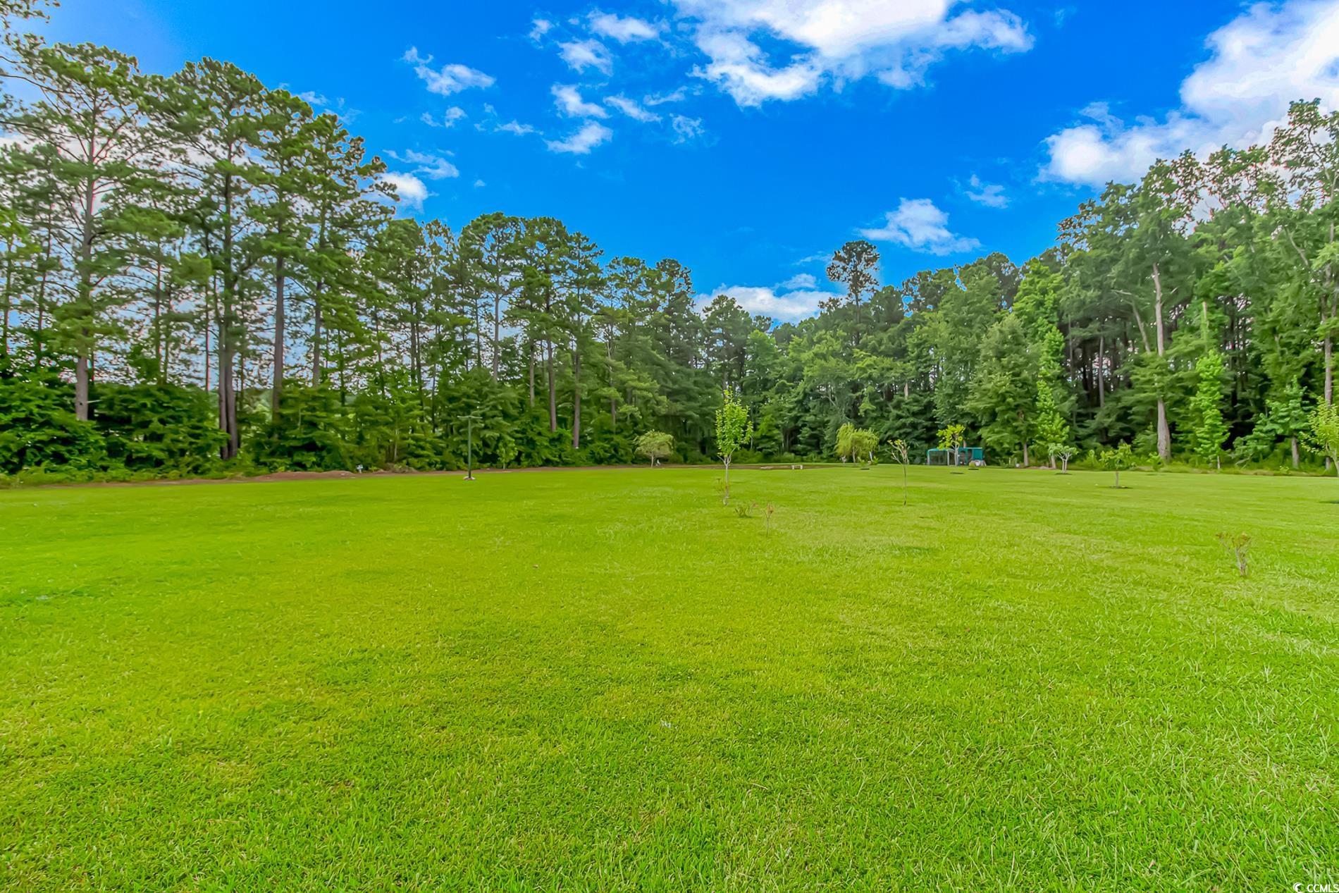 413 Four Mile Road Conway, SC 29526 - Photo 35 of 39 Gallery Image 35