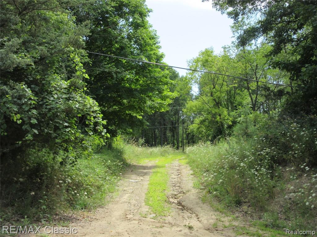 2015 Lone Tree Road Milford, MI 48380 - Photo 1 of 7