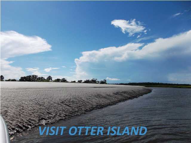 514 Jungle Road Edisto Beach, SC 29438 - Photo 21 of 23 Additional Photo