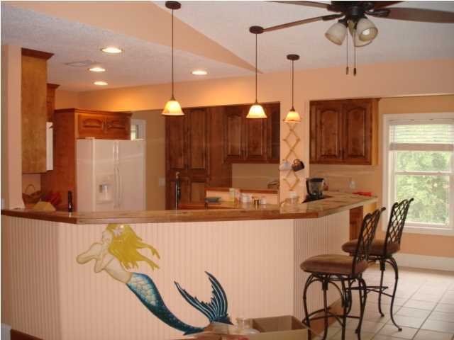 514 Jungle Road Edisto Beach, SC 29438 - Photo 4 of 23 Additional Photo