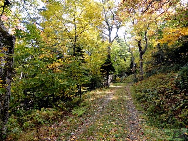 Lot 3 Hemlock Ridge Road Blowing Rock, NC 28605 - Photo 3 of 6 Gallery Image 3