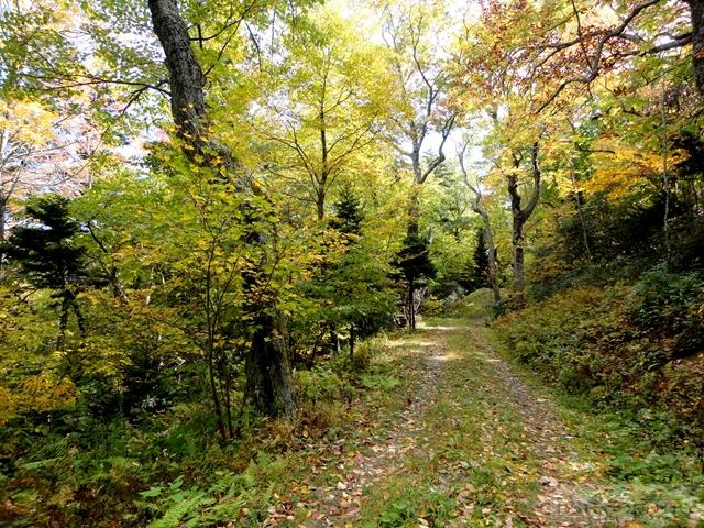 Lot 3 Hemlock Ridge Road Blowing Rock, NC 28605 - Photo 4 of 6 Gallery Image 4