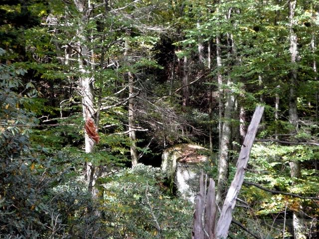 Lot 3 Hemlock Ridge Road Blowing Rock, NC 28605 - Photo 5 of 6 Gallery Image 5