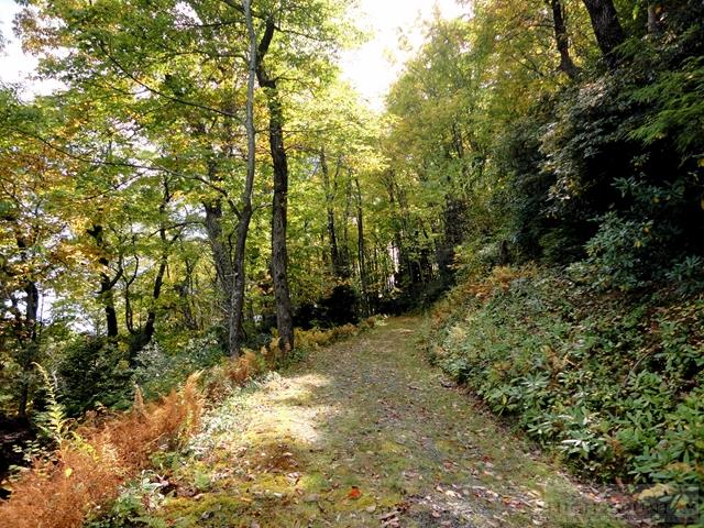 Lot 3 Hemlock Ridge Road Blowing Rock, NC 28605 - Photo 6 of 6 Gallery Image 6