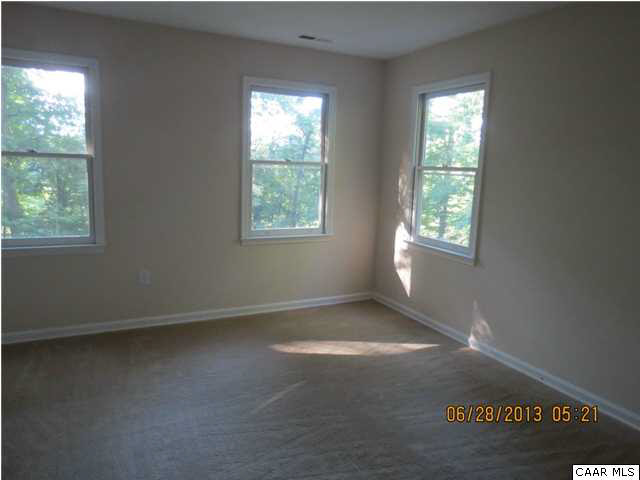 1099 Kingsway Road Afton, VA 22920 - Photo 20 of 21 an empty room with windows