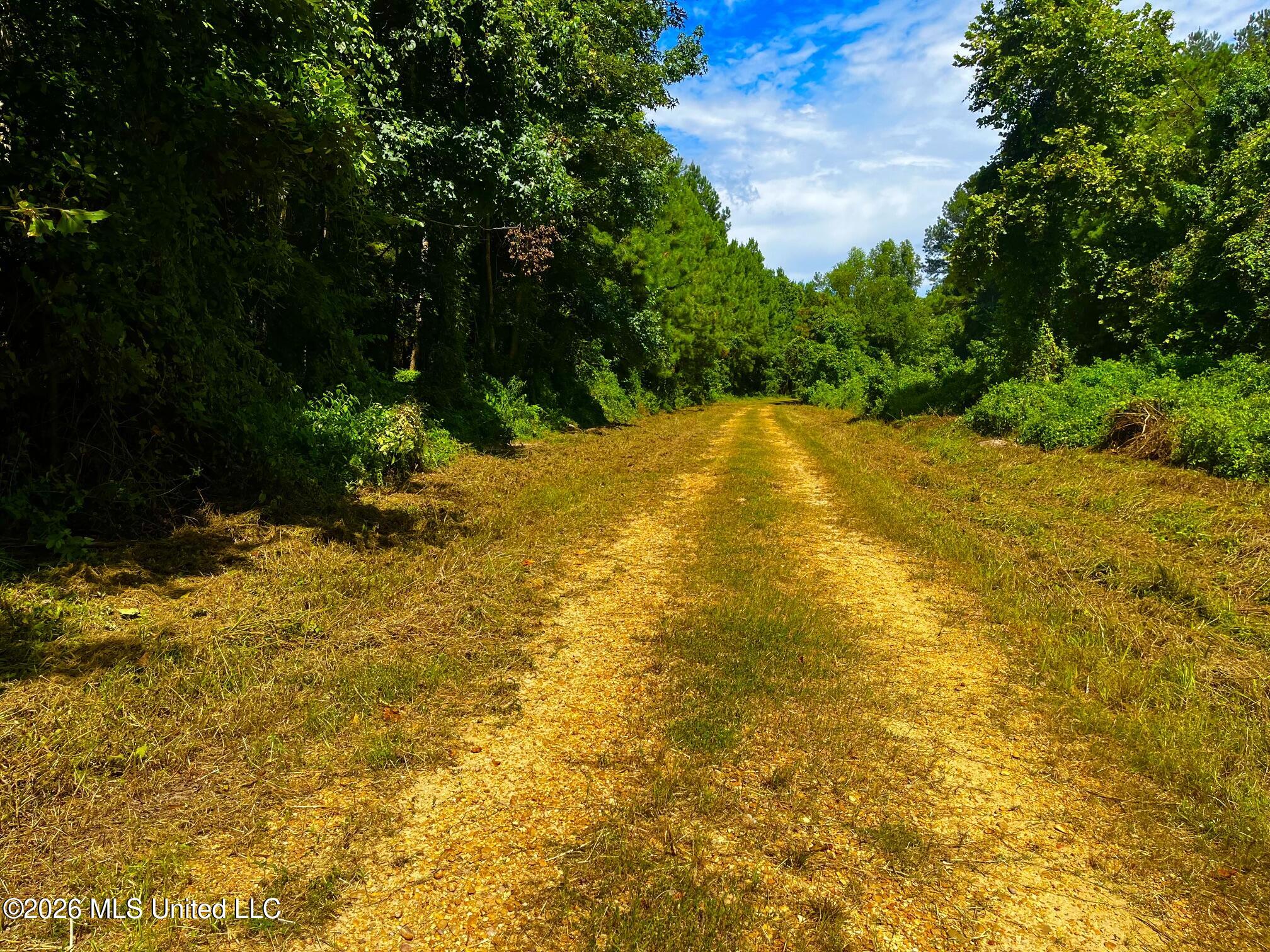Perrytown Road Crosby, MS 39633 - Photo 28 of 32 s29