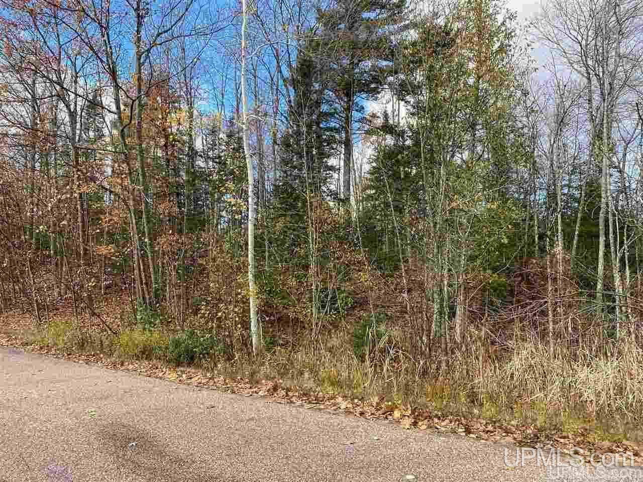 Tbd Lake Enchantment Road, Unit PARCEL 1 Marquette, MI 49855 - Photo 9 of 18