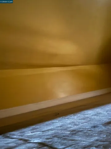 a view of a back yard