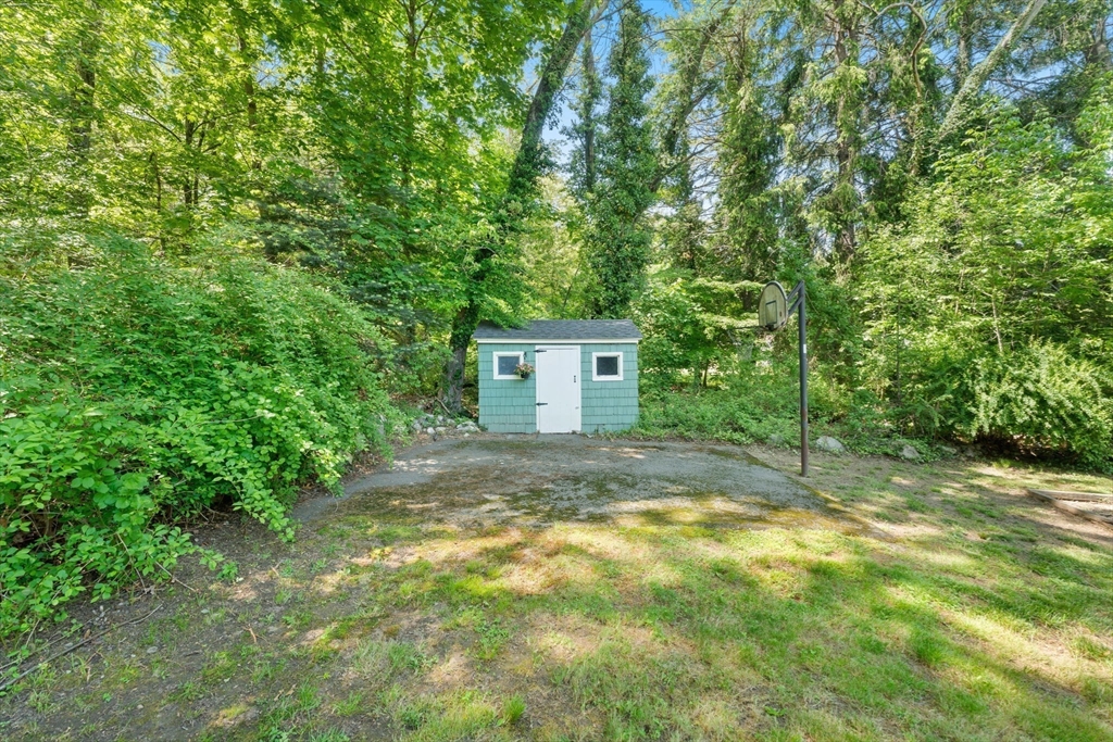 12 Millbrook Road Westwood, MA 02090 - Photo 26 of 28 a view of a yard with a tree