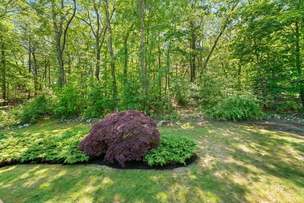 12 Millbrook Road Westwood, MA 02090 - Photo 28 of 28 a view of outdoor space and yard