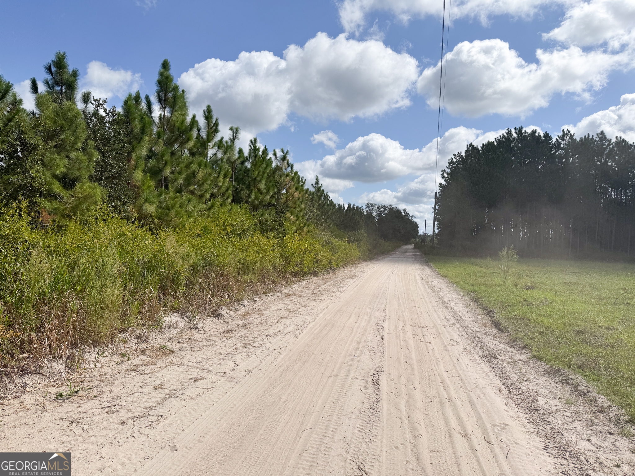 100 Doc Hunter Road Baxley, GA 31513 - Photo 11 of 13 a view of a dry yard