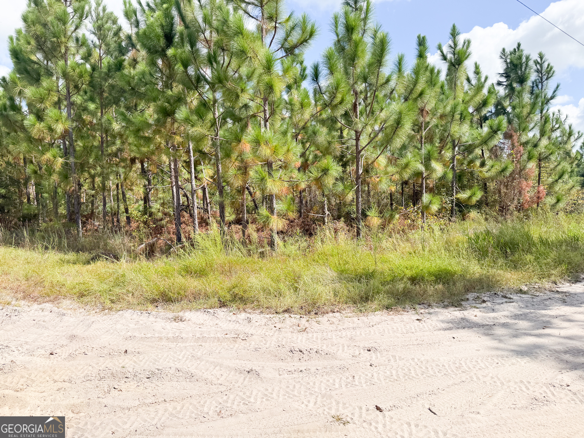 100 Doc Hunter Road Baxley, GA 31513 - Photo 2 of 13 a view of a beach with a tree in the background