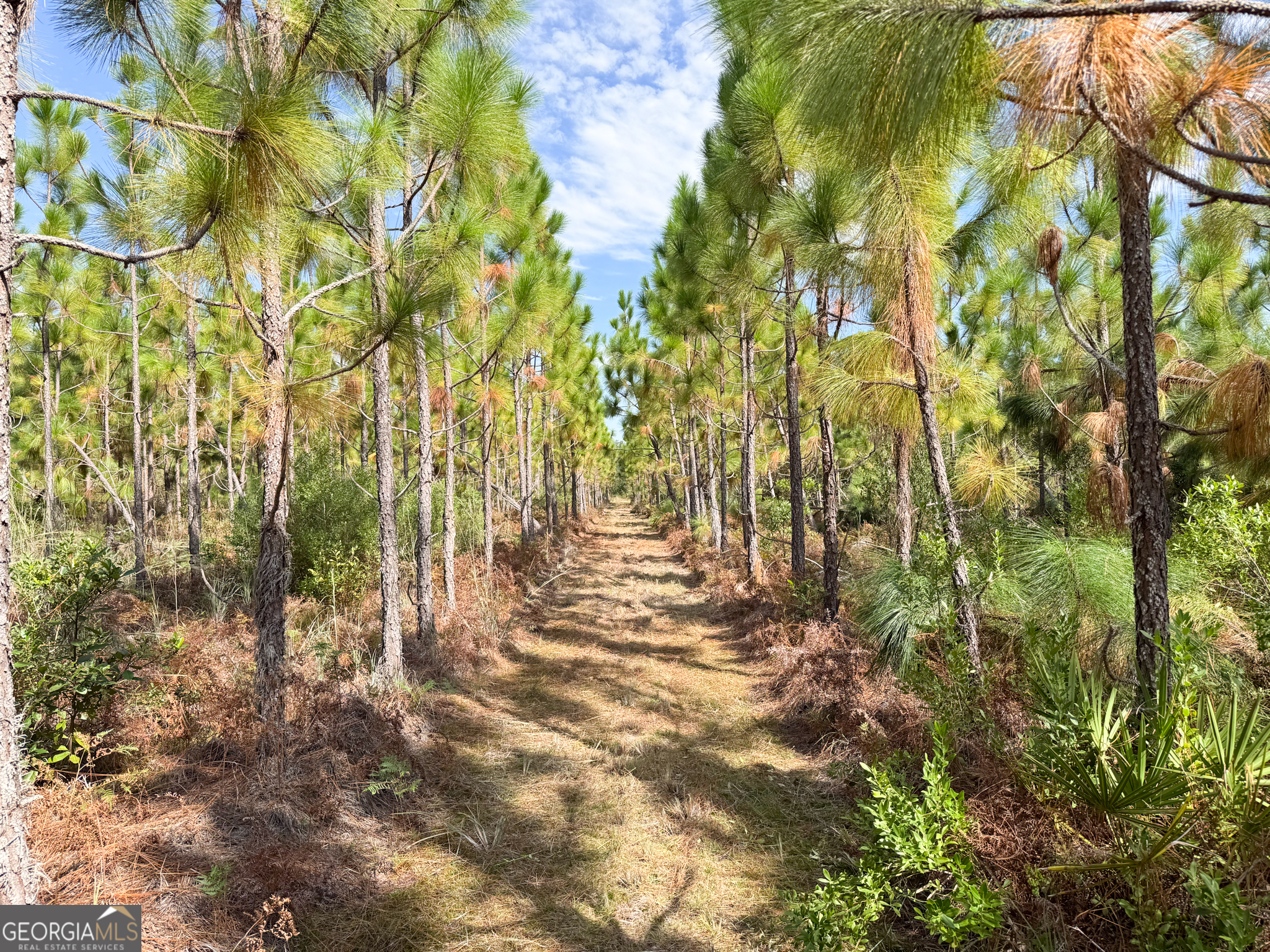 100 Doc Hunter Road Baxley, GA 31513 - Photo 3 of 13 a view of outdoor space and trees