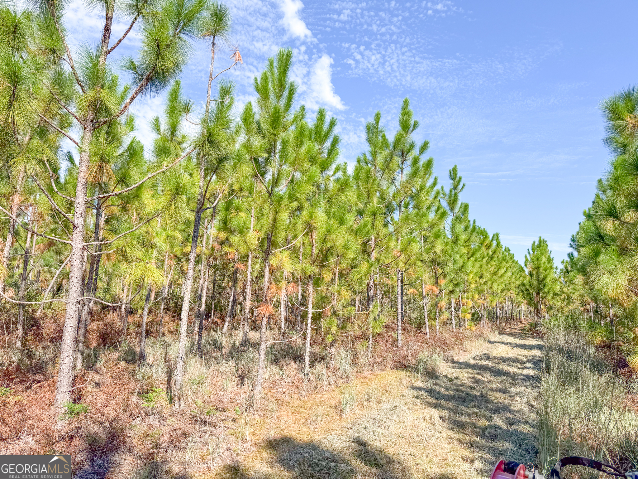 100 Doc Hunter Road Baxley, GA 31513 - Photo 8 of 13 a view of a yard with plants and trees