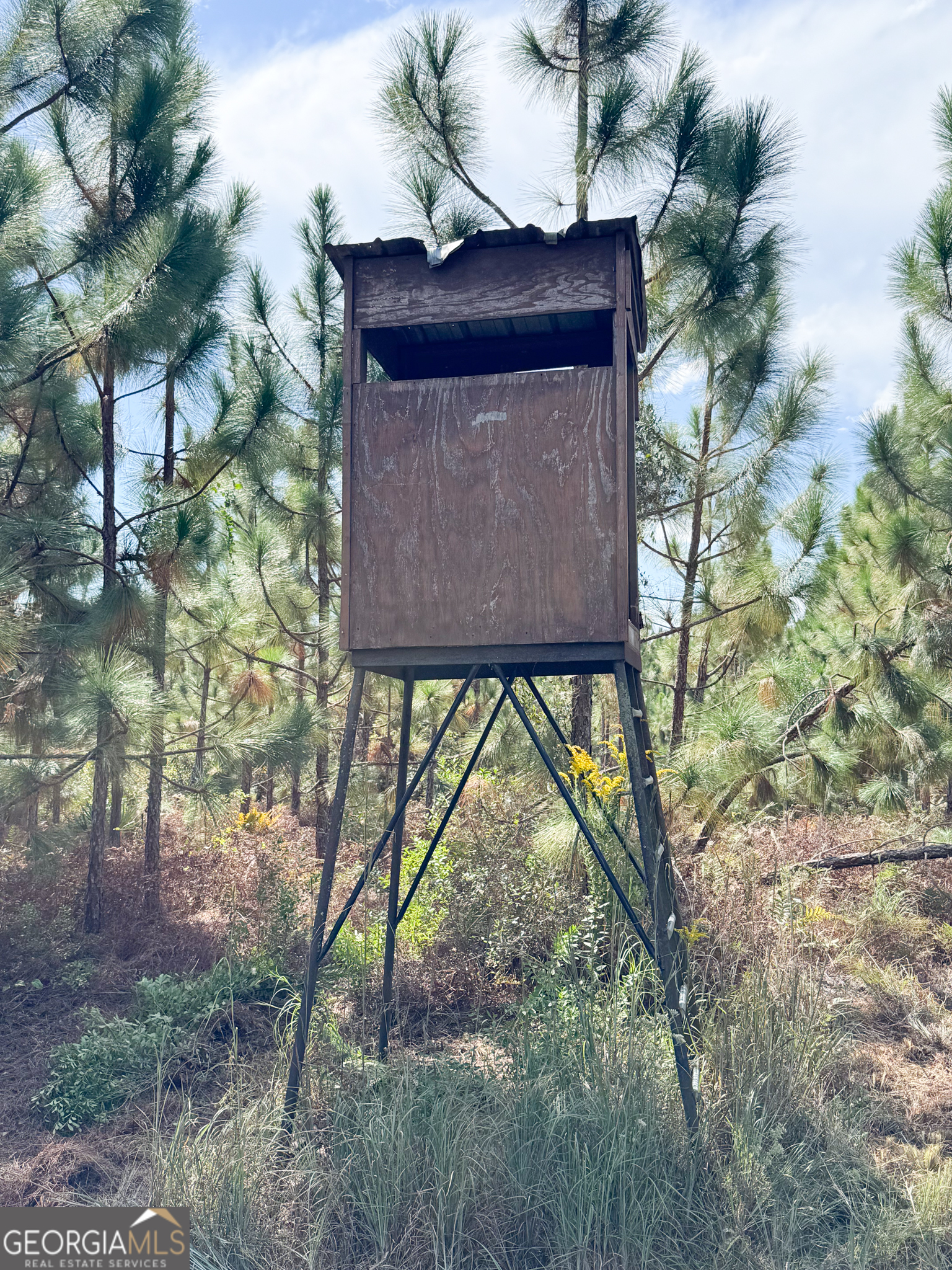 100 Doc Hunter Road Baxley, GA 31513 - Photo 9 of 13 a view of entryway