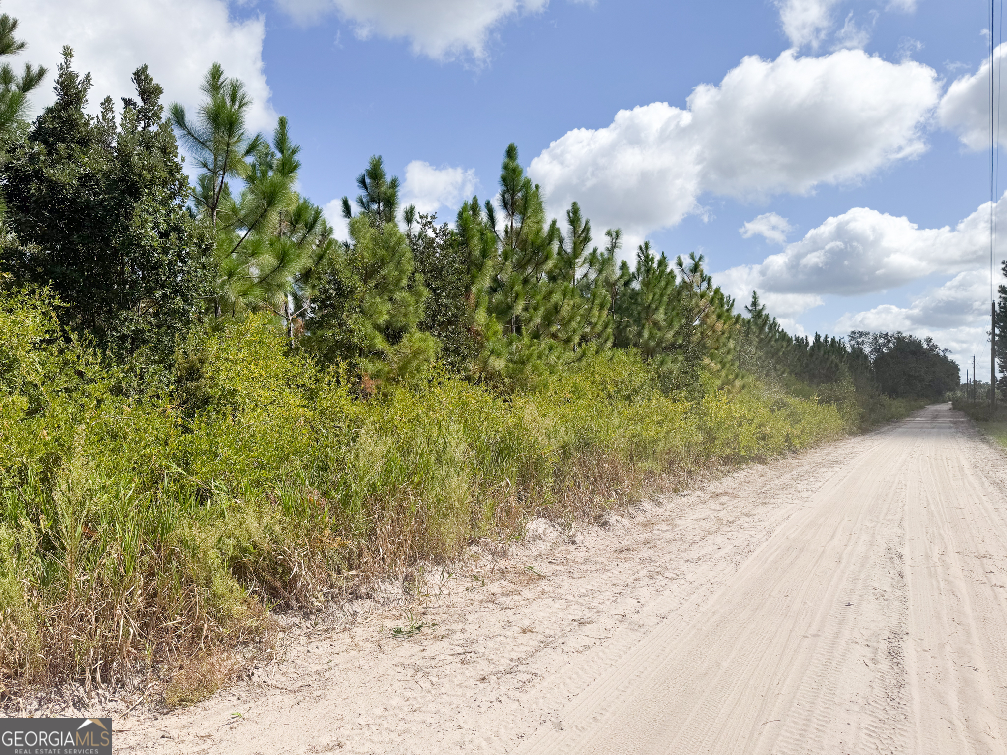100 Doc Hunter Road Baxley, GA 31513 - Photo 10 of 13 a view of a yard