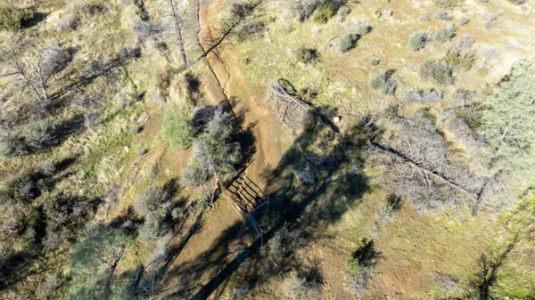 a view of forest