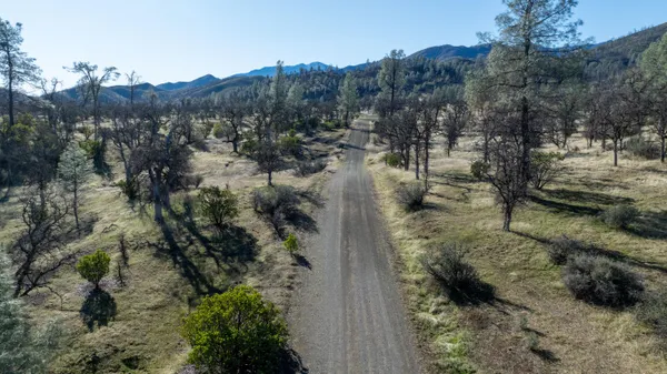 a view of a forest with a yard