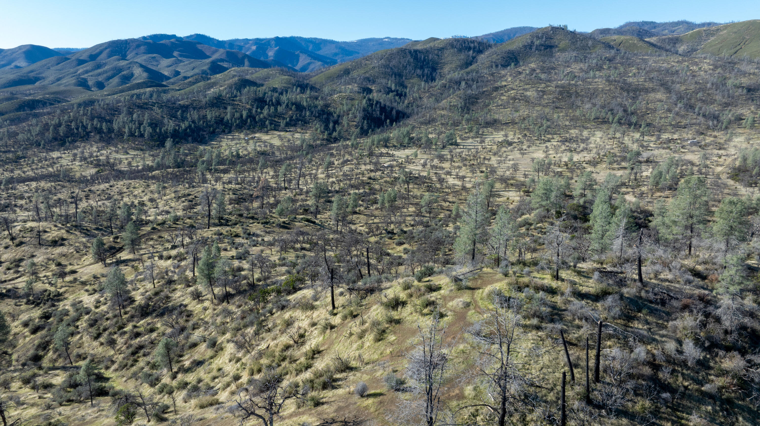 Ball Road Platina, CA 96076 - Photo 3 of 8 a view of a dry forest