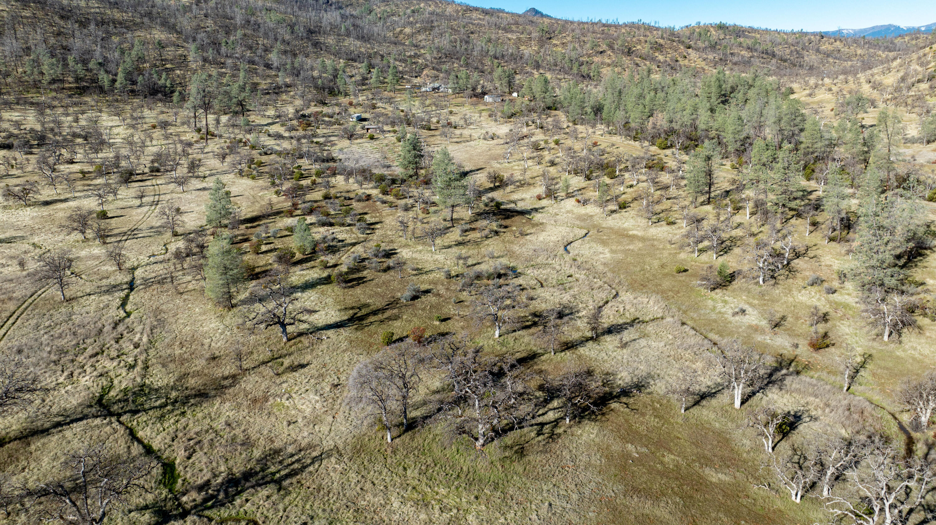 Ball Road Platina, CA 96076 - Photo 4 of 8 a view of a field
