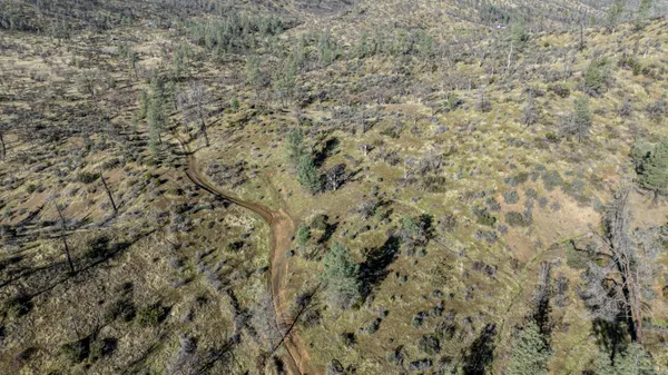 a close up of a field