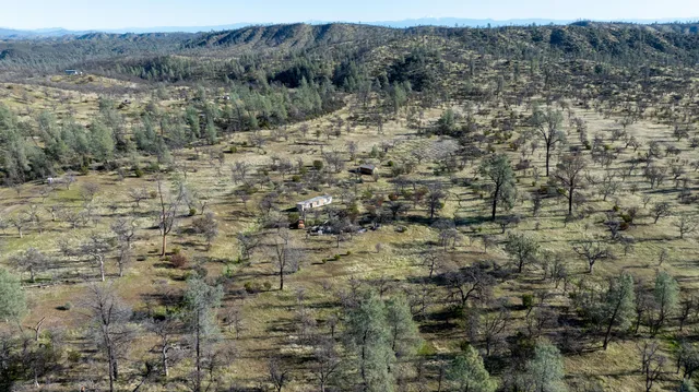 a view of a dry yard with trees and bushes