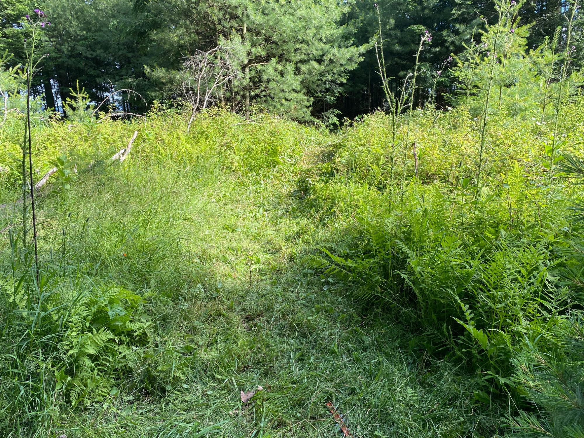 2597 Uncle Ben Road Pelican Lake, WI 54463 - Photo 15 of 31 Gallery Image 15