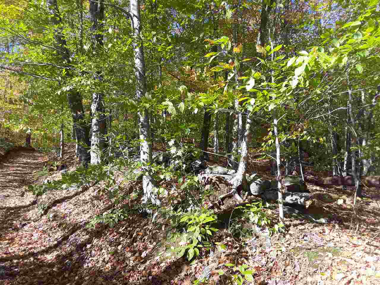 Manning Road, Unit 5 Townshend, VT 05353 - Photo 4 of 5
