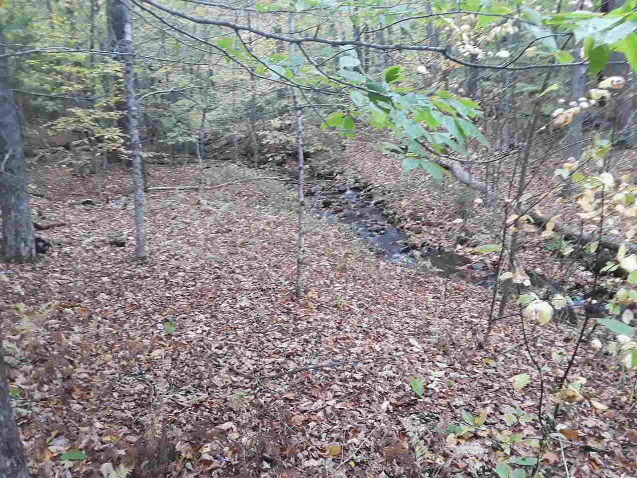 Manning Road, Unit 5 Townshend, VT 05353 - Photo 5 of 5