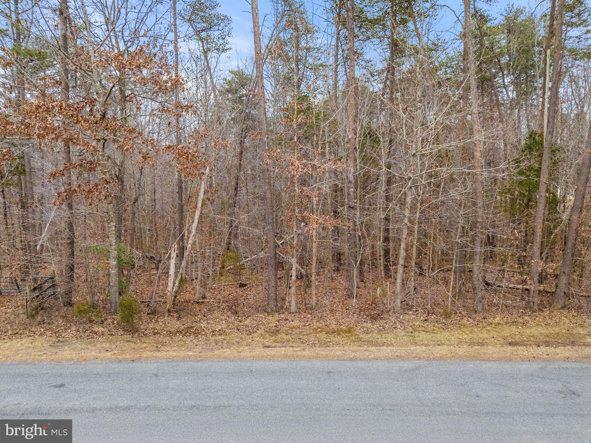 Mountain Track Road Orange, VA 22960 - Photo 7 of 7 Gallery Image 7