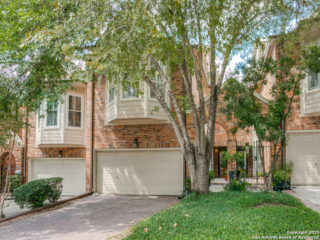 147 Elizabeth Road Alamo Heights, TX 78209 - Photo 1 of 25 front view of a house with a tree