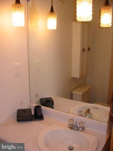 322 Venus Branch Road Front Royal, VA 22630 - Photo 15 of 28 Master Bath