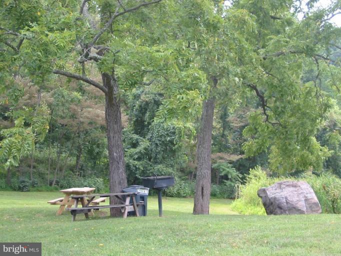 322 Venus Branch Road Front Royal, VA 22630 - Photo 28 of 28 Spring Lake