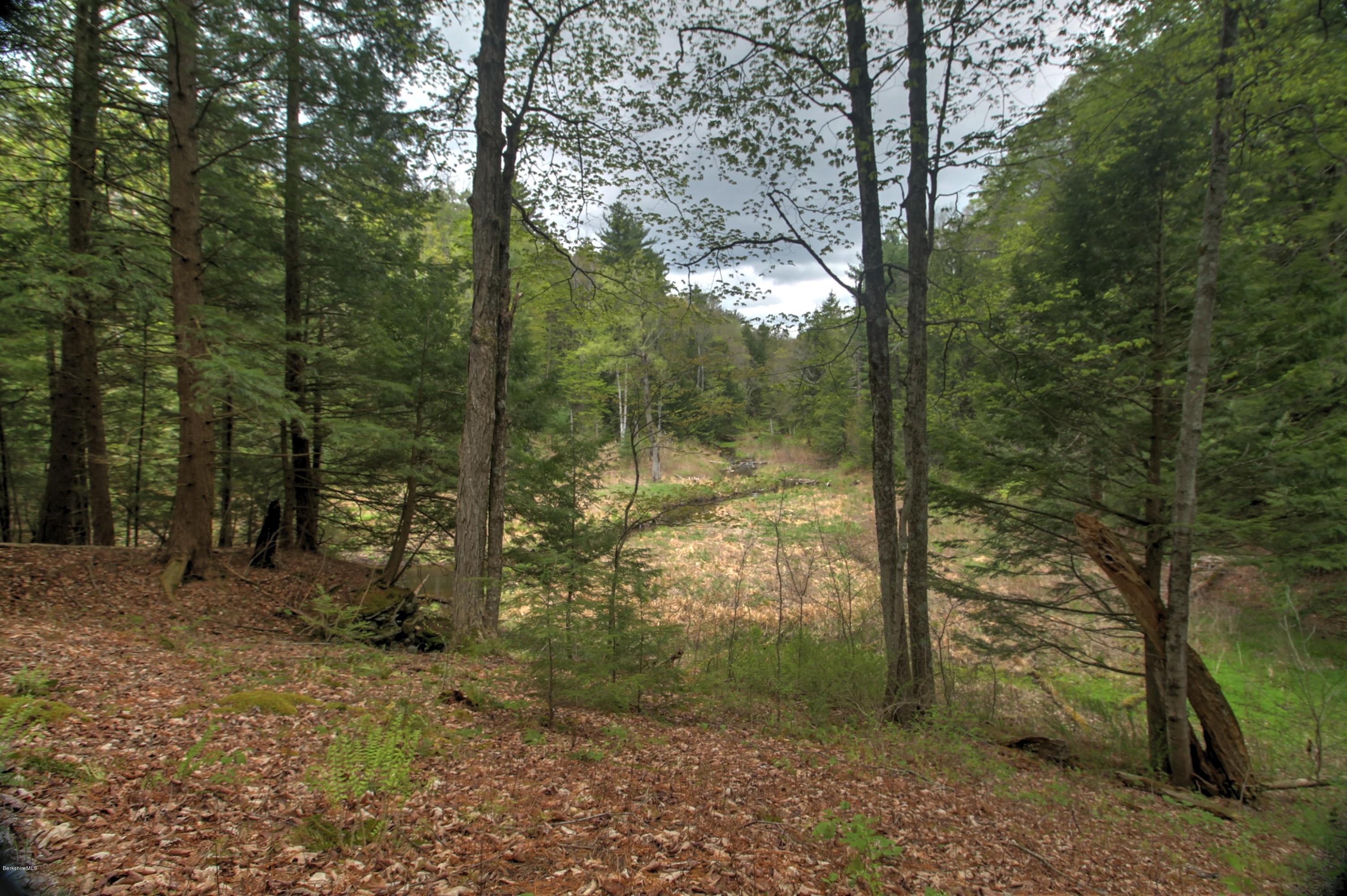 2034 Dublin Road Richmond, MA 01254 - Photo 35 of 42 bucolic meadow