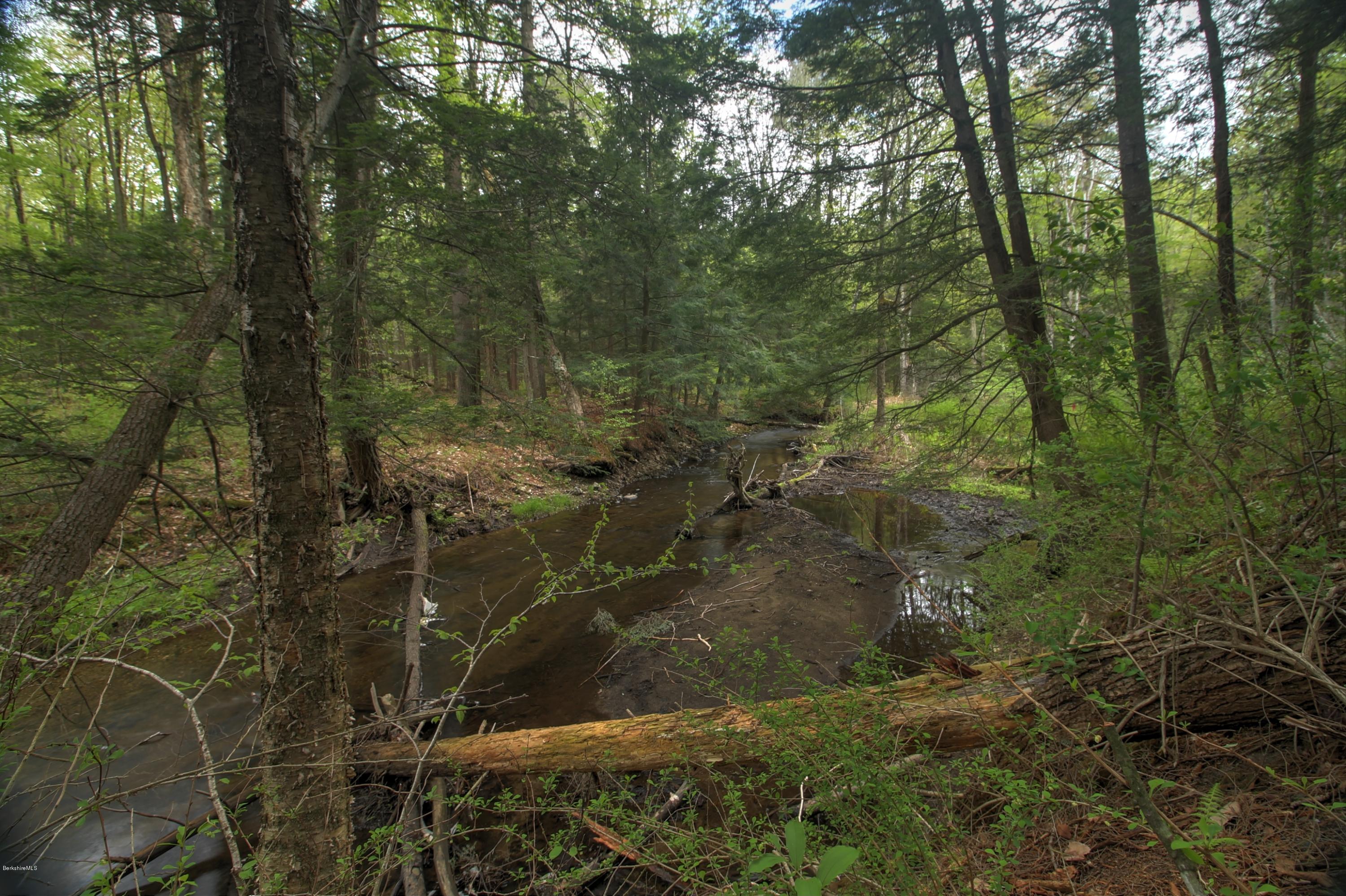 2034 Dublin Road Richmond, MA 01254 - Photo 39 of 42 Cone Brook 2