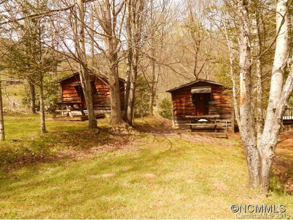 32 Woods Road Waynesville, NC 28785 - Photo 4 of 24