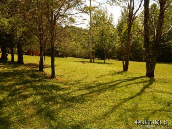 32 Woods Road Waynesville, NC 28785 - Photo 8 of 24