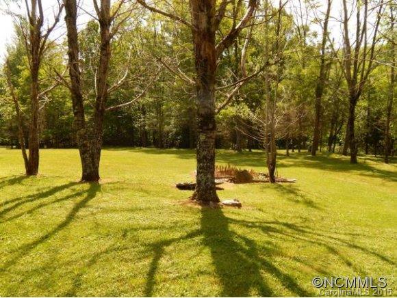 32 Woods Road Waynesville, NC 28785 - Photo 9 of 24