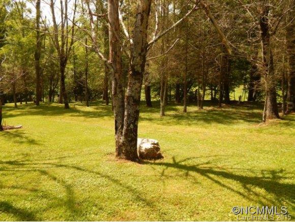 32 Woods Road Waynesville, NC 28785 - Photo 10 of 24