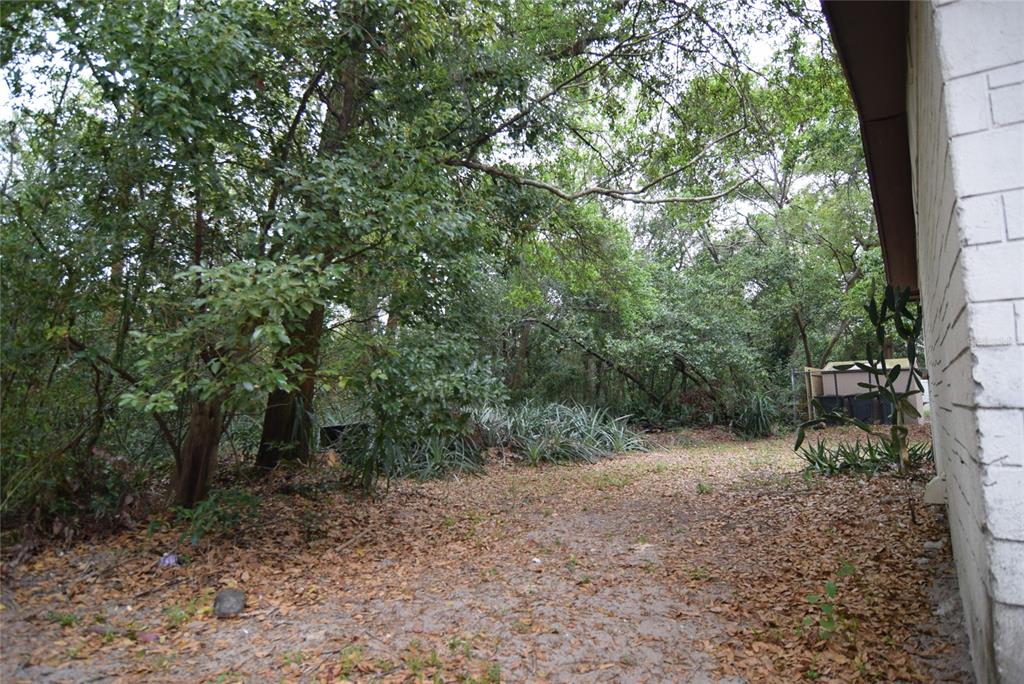 8428 Anay Court New Port Richey, FL 34653 - Photo 33 of 33