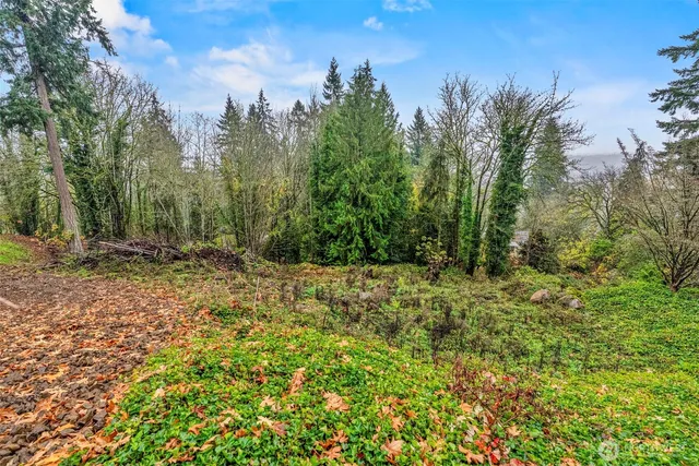 a view of outdoor space with trees all around