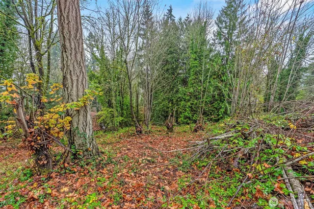 a view of a yard with plants and trees