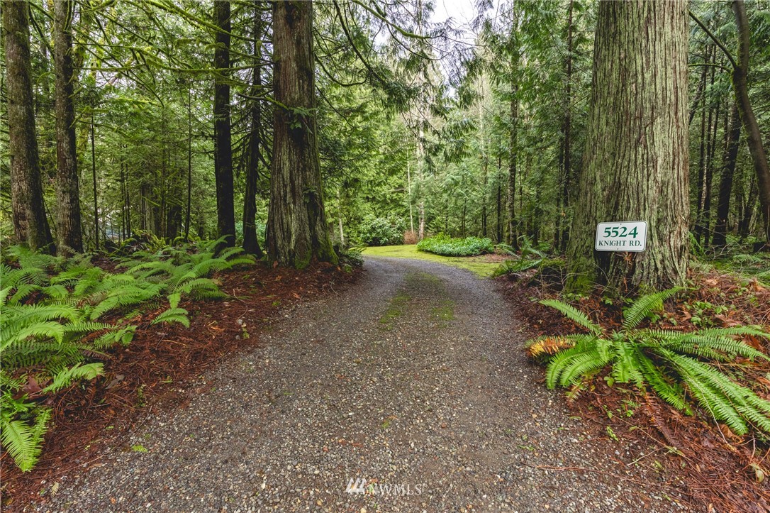 5524 Knight Road Bellingham, WA 98226 - Photo 34 of 34 a view of a forest with trees