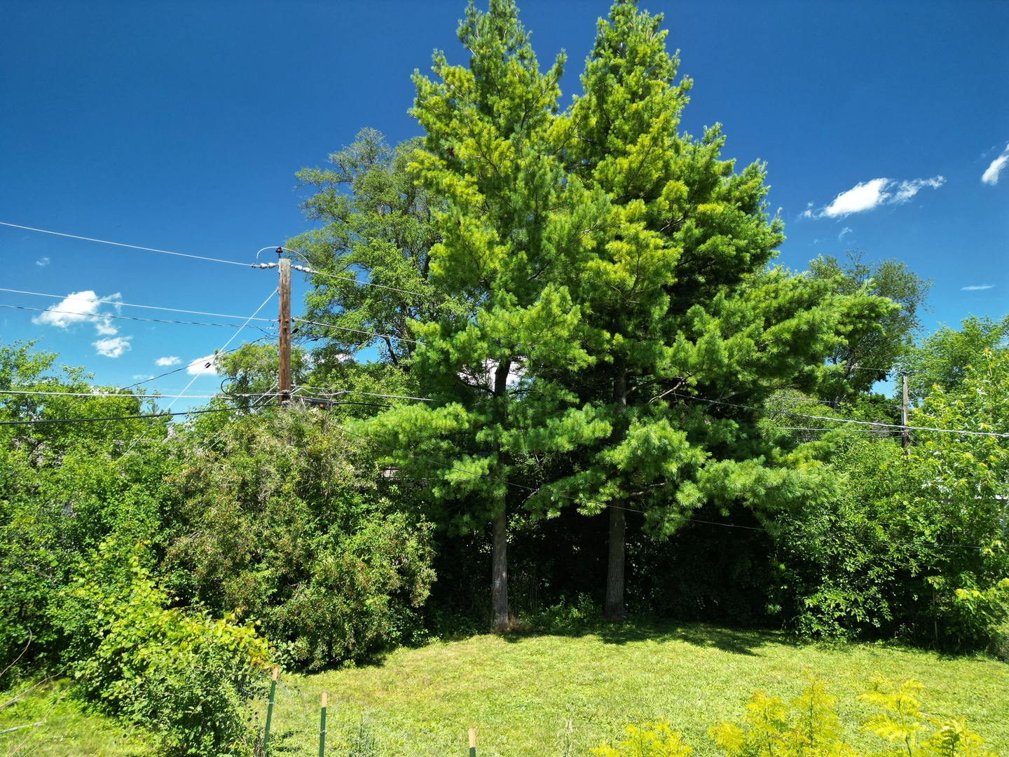 2 Northcrest Road Lake Zurich, IL 60047 - Photo 23 of 30