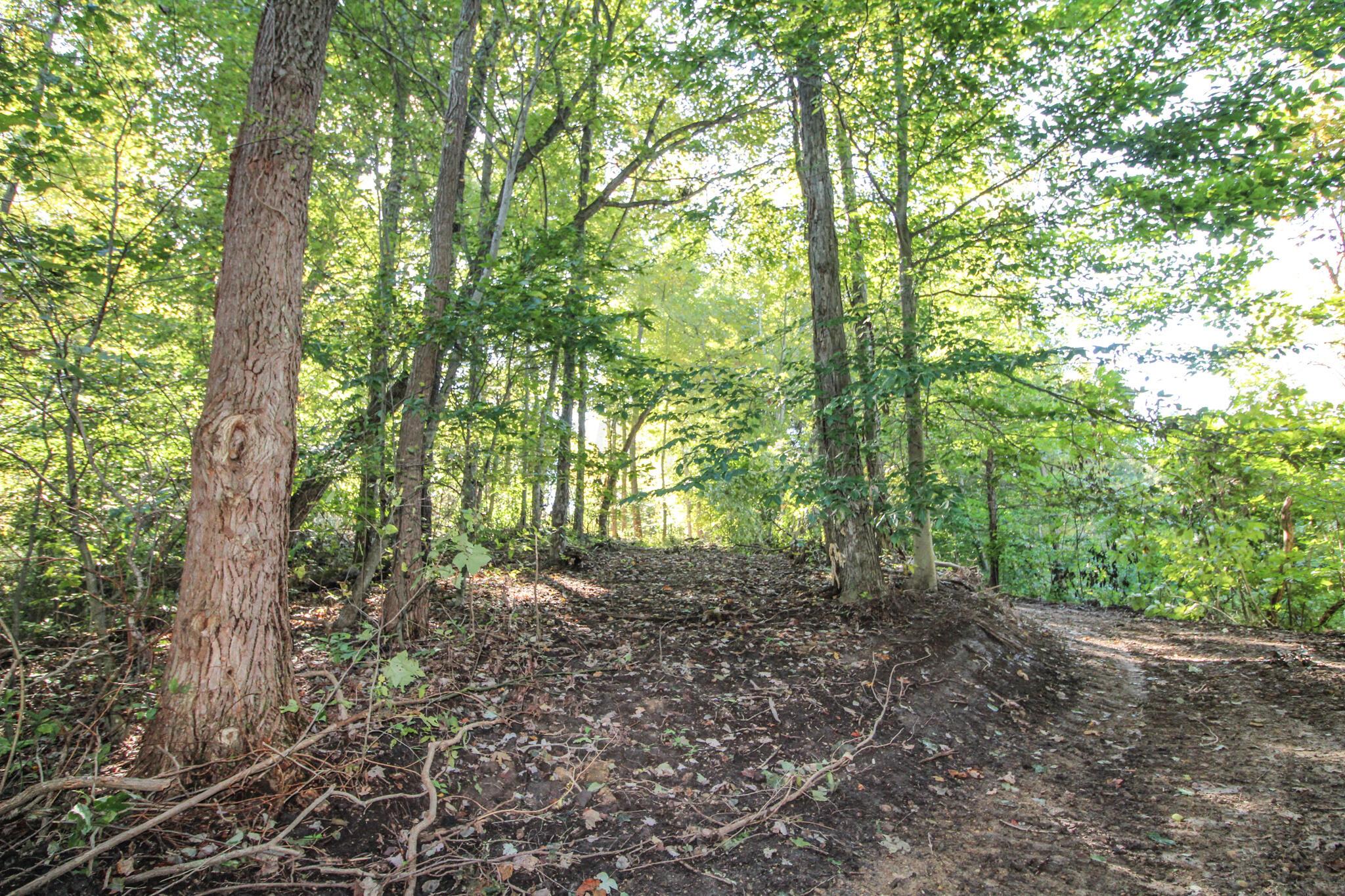 0 Mud Run Road Summerfield, OH 43788 - Photo 20 of 51 IMG_5446