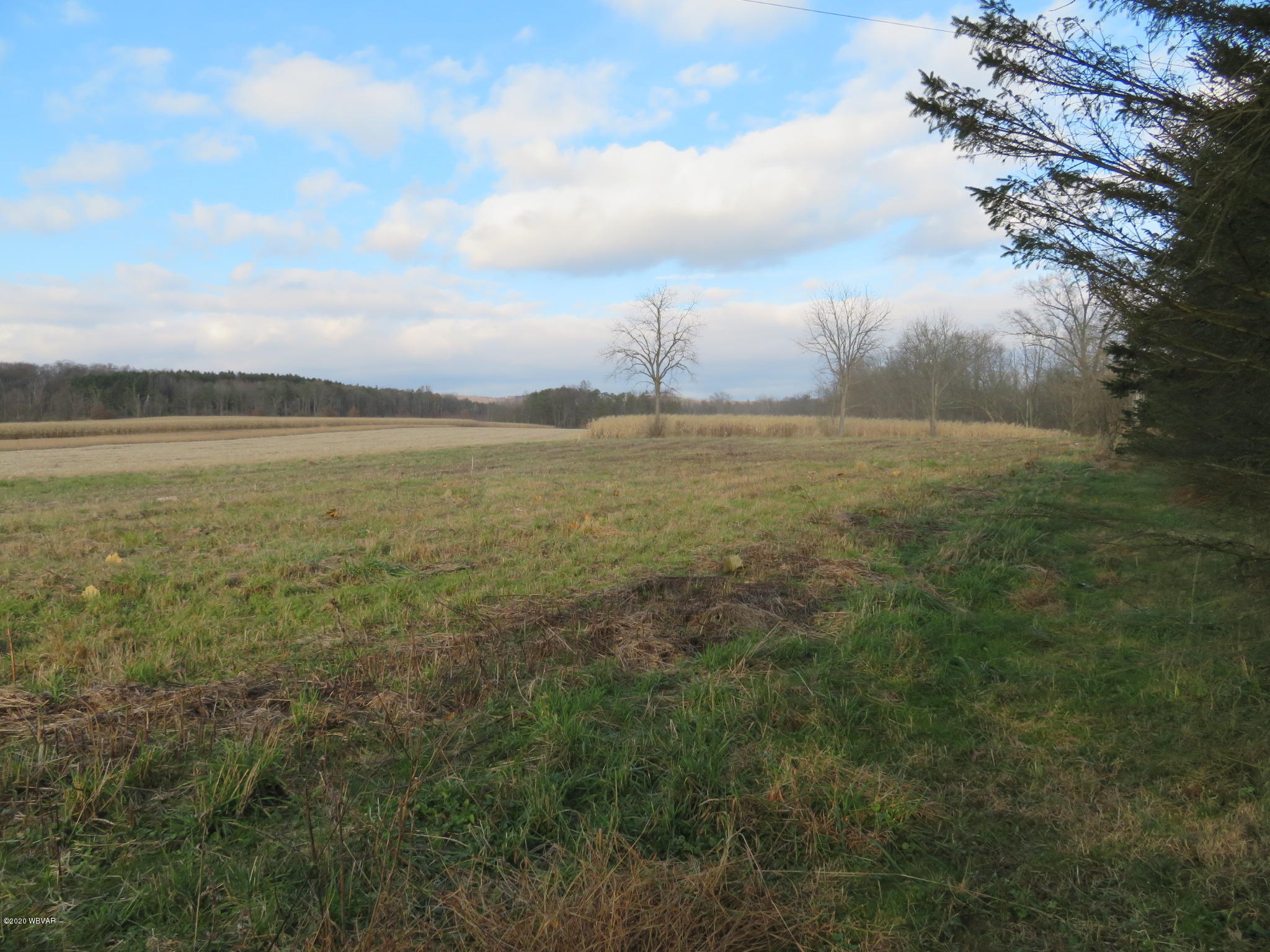 840 Gold Road Muncy, PA 17756 - Photo 11 of 32 Gallery Image 11