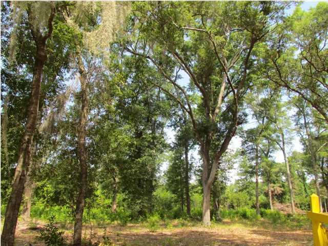 0 Palmetto Road, Unit A4B Edisto Island, SC 29438 - Photo 1 of 13 Primary Photo